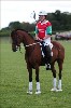 UKPA NC SAT_2679